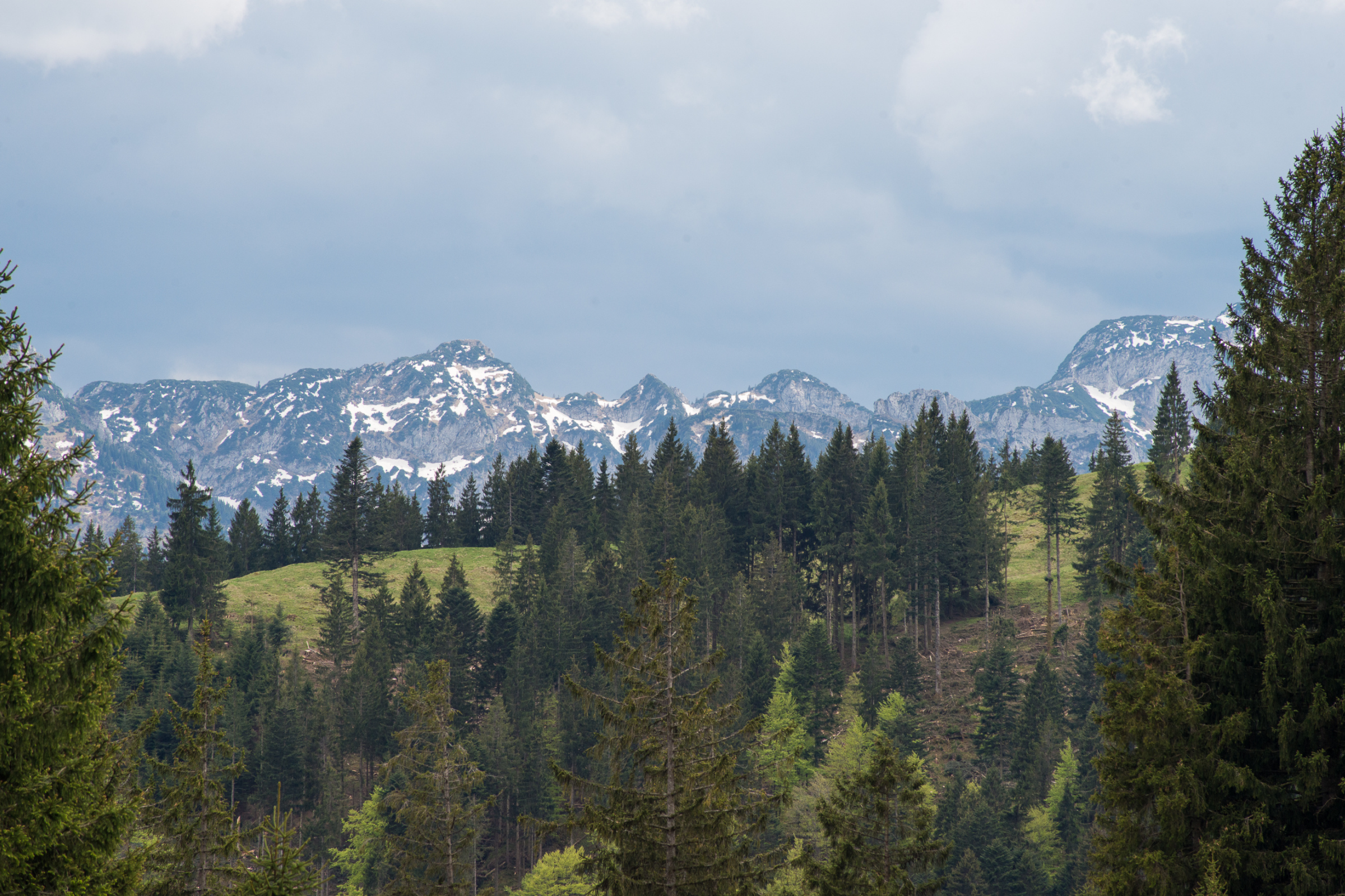 Bad_Tölz[1].webp